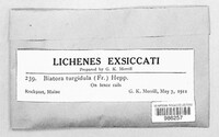 Image Associated With the Occurence